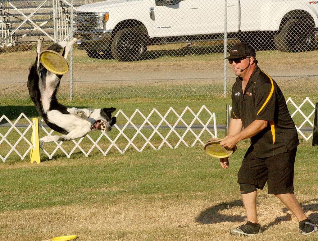 King County Fair | Photo Gallery