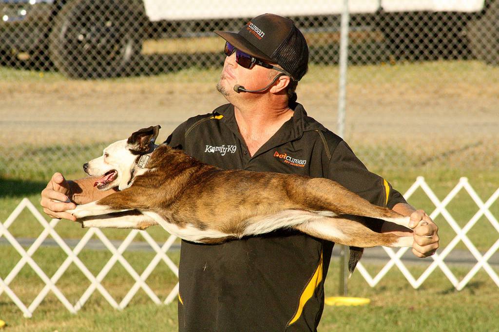 King County Fair | Photo Gallery