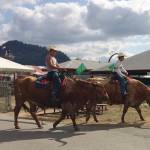 King County Fair | Photo Gallery