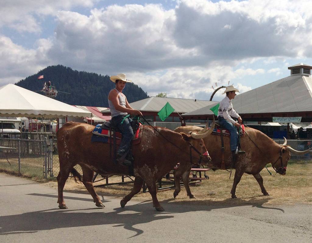King County Fair | Photo Gallery
