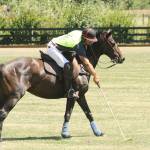 Polo pageantry will be on display Aug. 12 in rural Enumclaw, when the Seattle Polo and Equestrian Club hosts hits annual party. The public is welcome to attend. Above, the grounds were recently busy with the Governor&rsquo;s Cup. File photo by Kevin Hanson