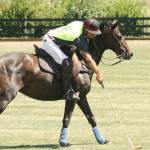 Third annual Polo Party is coming to Enumclaw