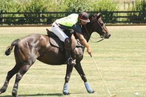 Third annual Polo Party is coming to Enumclaw
