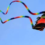 Take flight at the Annual Kite Festival | Pierce County