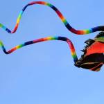 Take flight at the Annual Kite Festival | Pierce County