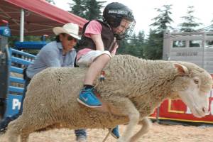 King County Fair kicks off four-day run July 13