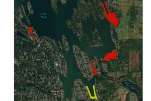 Lake Tapps milfoil treatment scheduled for week of August 7 | Cascade Water Alliance