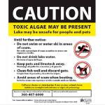 Toxic algae spotted in Lake Tapps