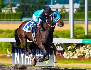 WTBOA Sales graduate and 2017 multiple stakes winner Mach One Rules is a leading contender for the Sunday, Aug. 13, Lonagcres Mile grade 3 at Emerald Downs.                                Photo by Wayne Nagai