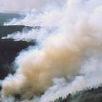 Smoke from regional wildfires returns to the area | Tacoma-Pierce County Health Department