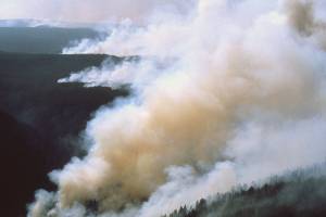 Smoke from regional wildfires returns to the area | Tacoma-Pierce County Health Department