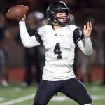 Panthers stalking another playoff run