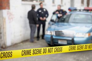 Domestic violence calls most deadly for police officers