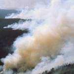 Sawmill Creek and Norse Peak fire update | Department of Natural Resources