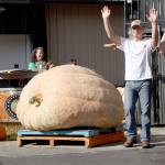 Great Pumpkin grows at Krainick Dairy