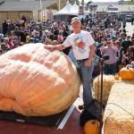 Joel Holland with his 2,323 pound Atlantic Giant pumpkin. Photo by Half Moon Bay Festival