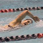 Local swimmers, diver compete at state meet