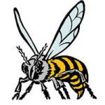 Hornets take all-sport title