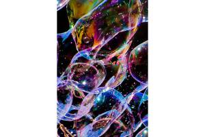 Gallery 2018 features work of Bonney Lake photographer