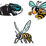 List of nation’s top female wrestlers includes Plateau trio