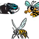 List of nation’s top female wrestlers includes Plateau trio