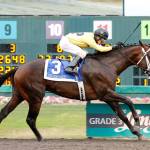 Gold Rush Dancer won last years Longacre Mile by four and three-quarter lengths, beating out Mach One Rules. Photo courtesy Phil Ziegler