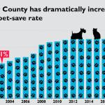Close to 3,000 animals were adopted in King County in 2017. Image courtesy of King County