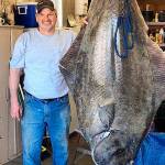 Photo submitted                                Tom Hellinger stands next to a halibut he caught in Puget Sound.
