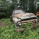 A rusting vintage truck finds its bed amongst the overgrowth at Pillons property. Photo by Caean Couto