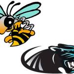 All-state squads include Panthers, Hornets