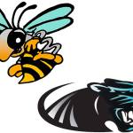 All-state squads include Panthers, Hornets