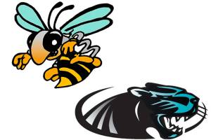 All-state squads include Panthers, Hornets