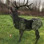 Photo courtesy the Enumclaw Garden Club.