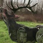 Online auction to aid elk art in Enumclaw