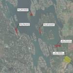 The various areas on the lake where Cascade Water Alliance will be treating milfoil in Lake Tapps. Image courtesy Cascade Water Alliance