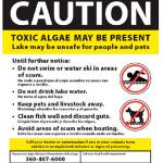 Toxic algae warning in Lake Tapps