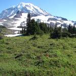 Next State Parks ‘free day’ is Aug. 25 | Washington State Parks