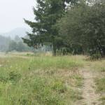 A seldom-used trail is visible along the south side of Battersby Avenue. With federal funds, it will be home to a ribbon of asphalt.
