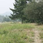Enumclaw moves forward with two trail projects