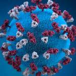 Traveler returns with measles | King County