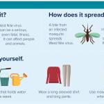 West Nile virus detected in Tacoma marsh | Tacoma-Pierce County Health Department