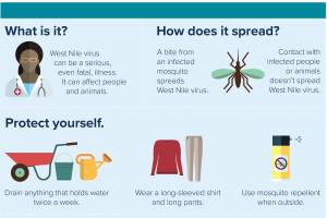 West Nile virus detected in Tacoma marsh | Tacoma-Pierce County Health Department