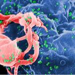 HIV increasing among drug users | Public Health Insider