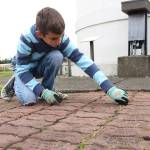 Beautify Enumclaw, Buckley | Slideshow