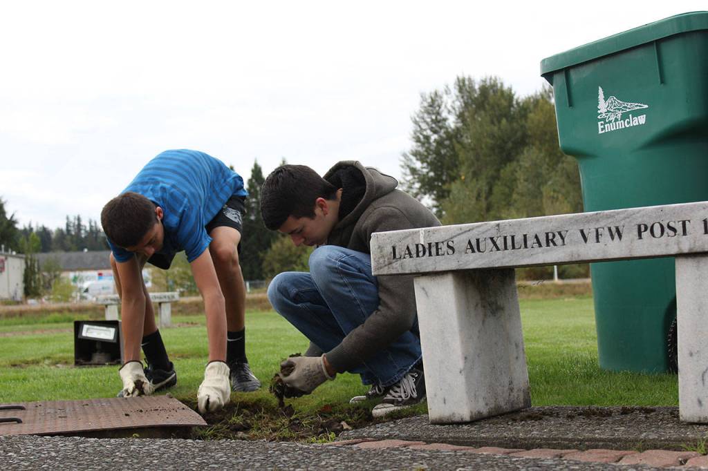 Beautify Enumclaw, Buckley | Slideshow