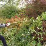 Beautify Enumclaw, Buckley | Slideshow