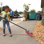 Beautify Enumclaw, Buckley | Slideshow