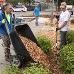 Beautify Enumclaw, Buckley | Slideshow