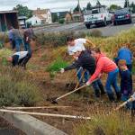 Beautify Enumclaw, Buckley | Slideshow