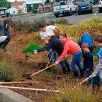 Beautify Enumclaw, Buckley | Slideshow